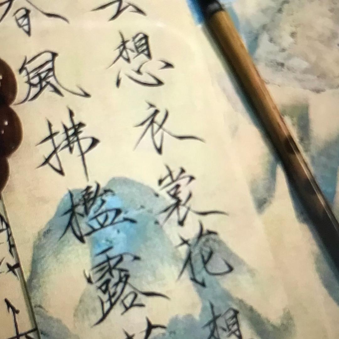 宴鼠