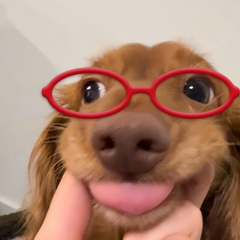 咕咪