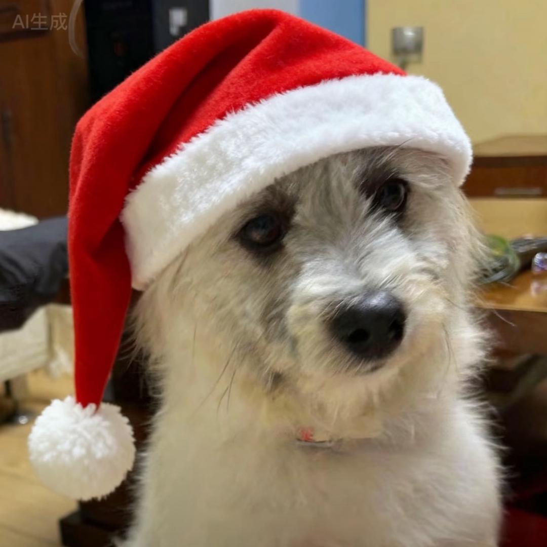 低掉沈金◇ 🌈