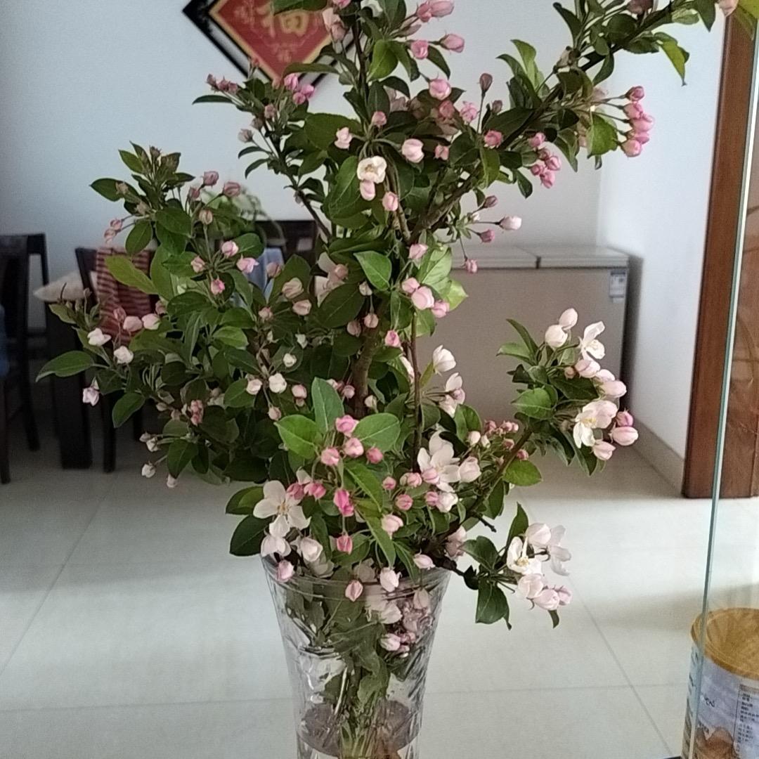 美丽心情