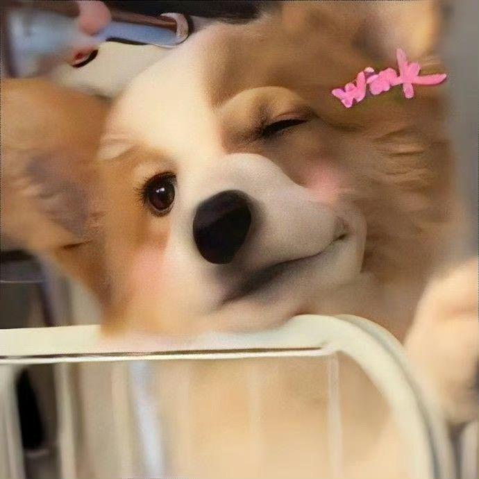 歪嘴俏佳人