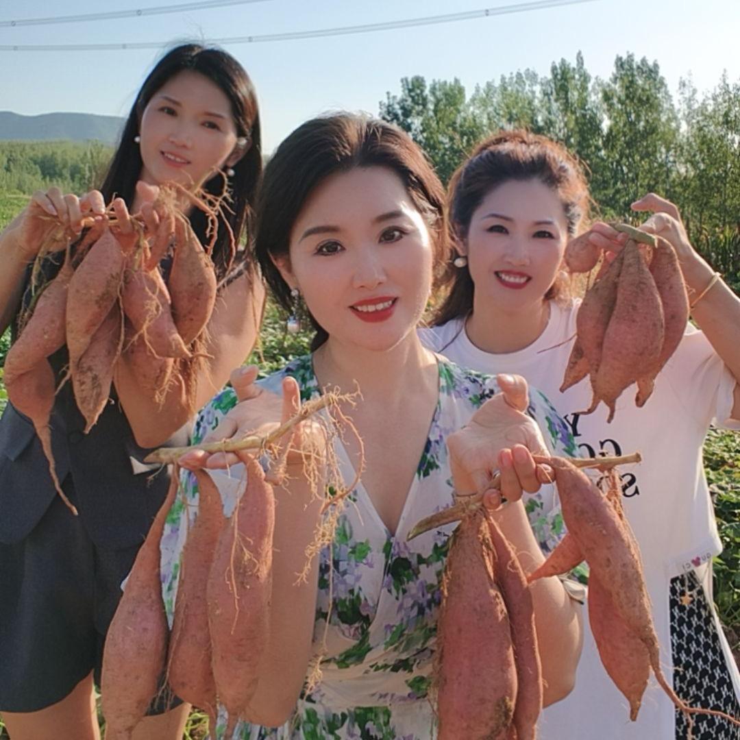 三只骆驼