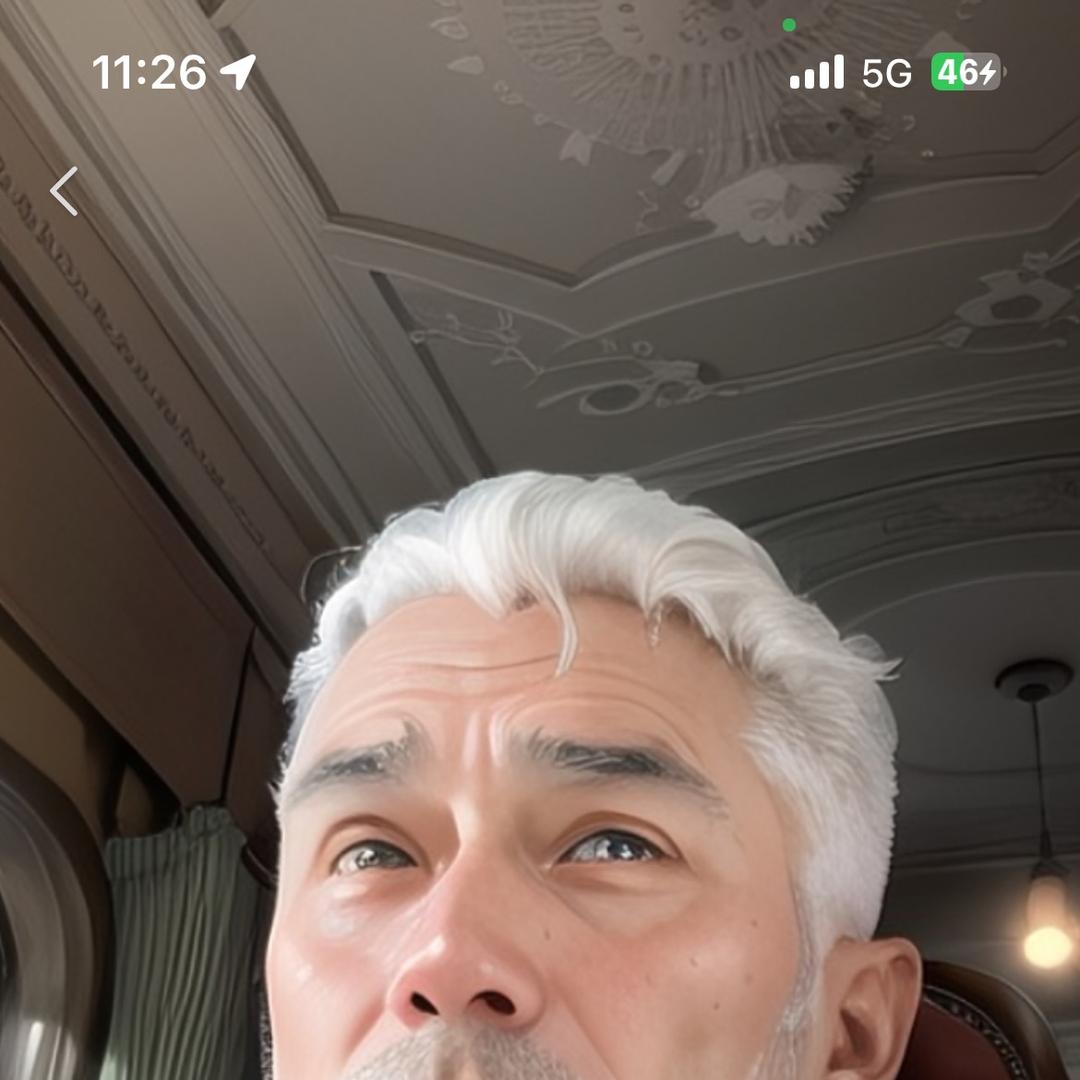 陈二狗宠物用品