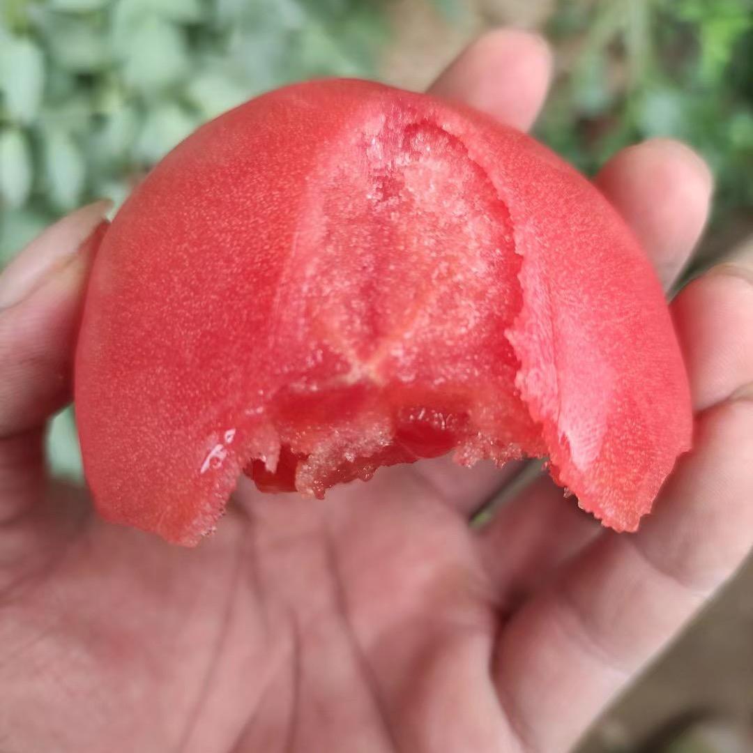 东海县金雨杰蔬菜经营部