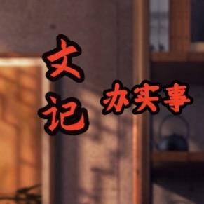 文记办实事