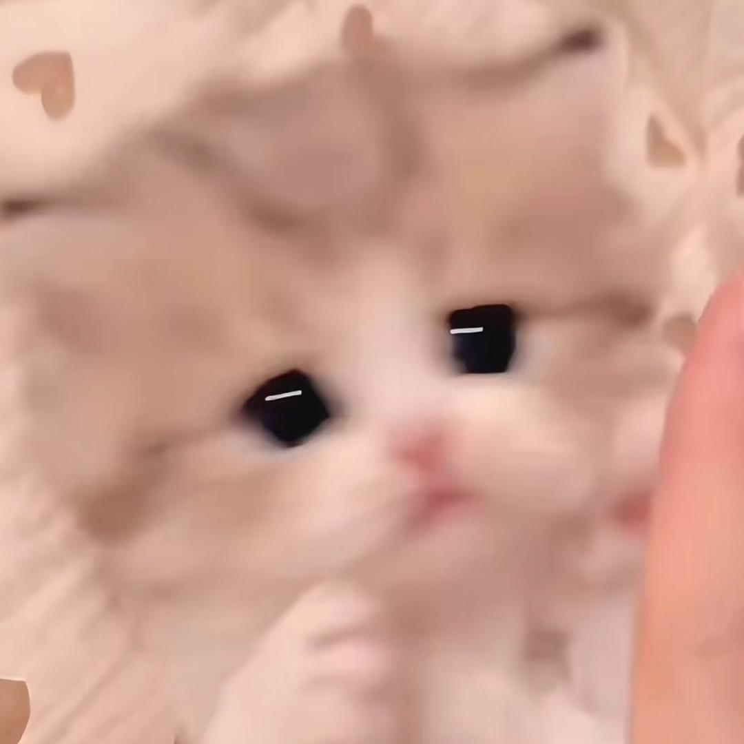 行