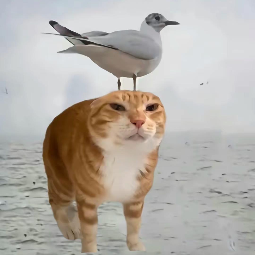 清崽