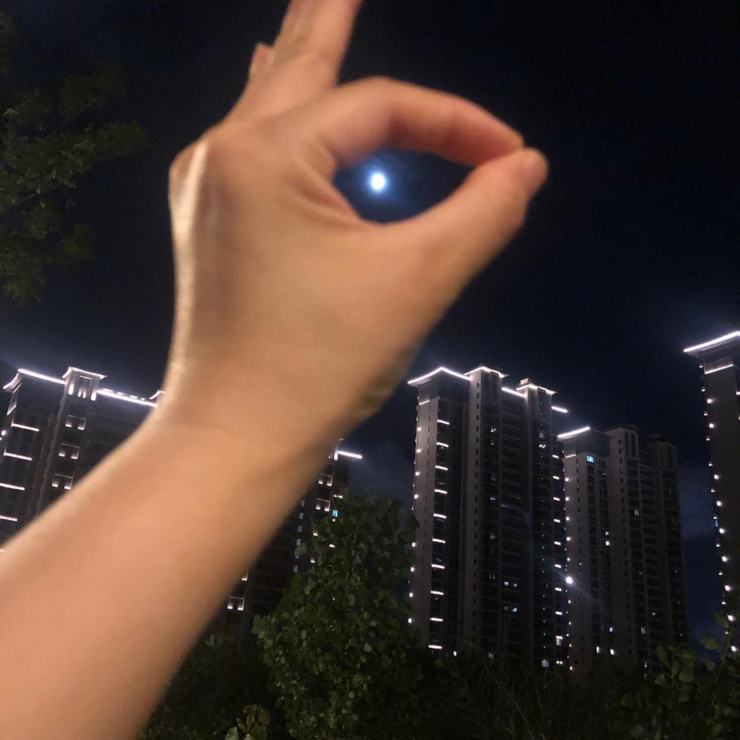 ℳ℘從伈