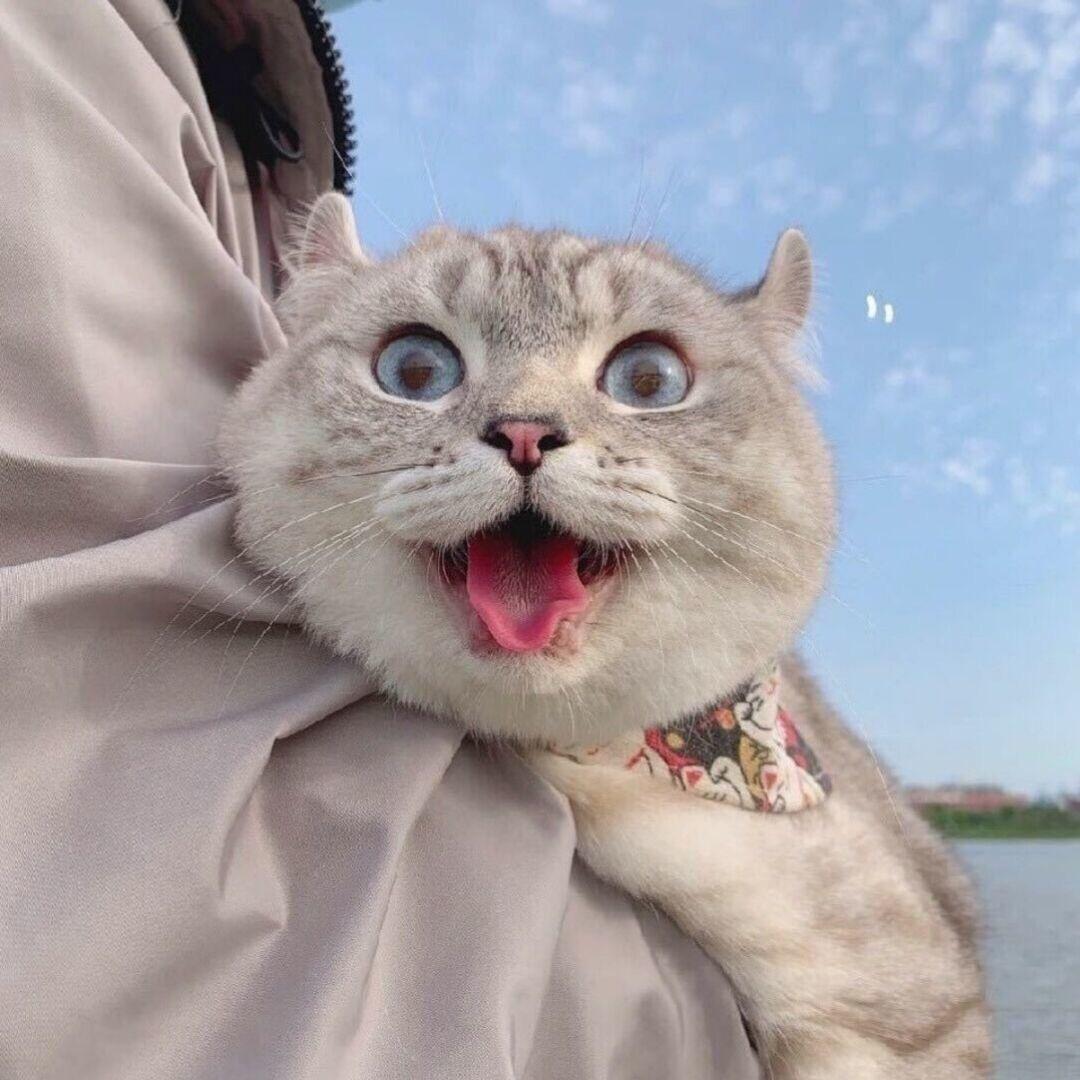 永昌.