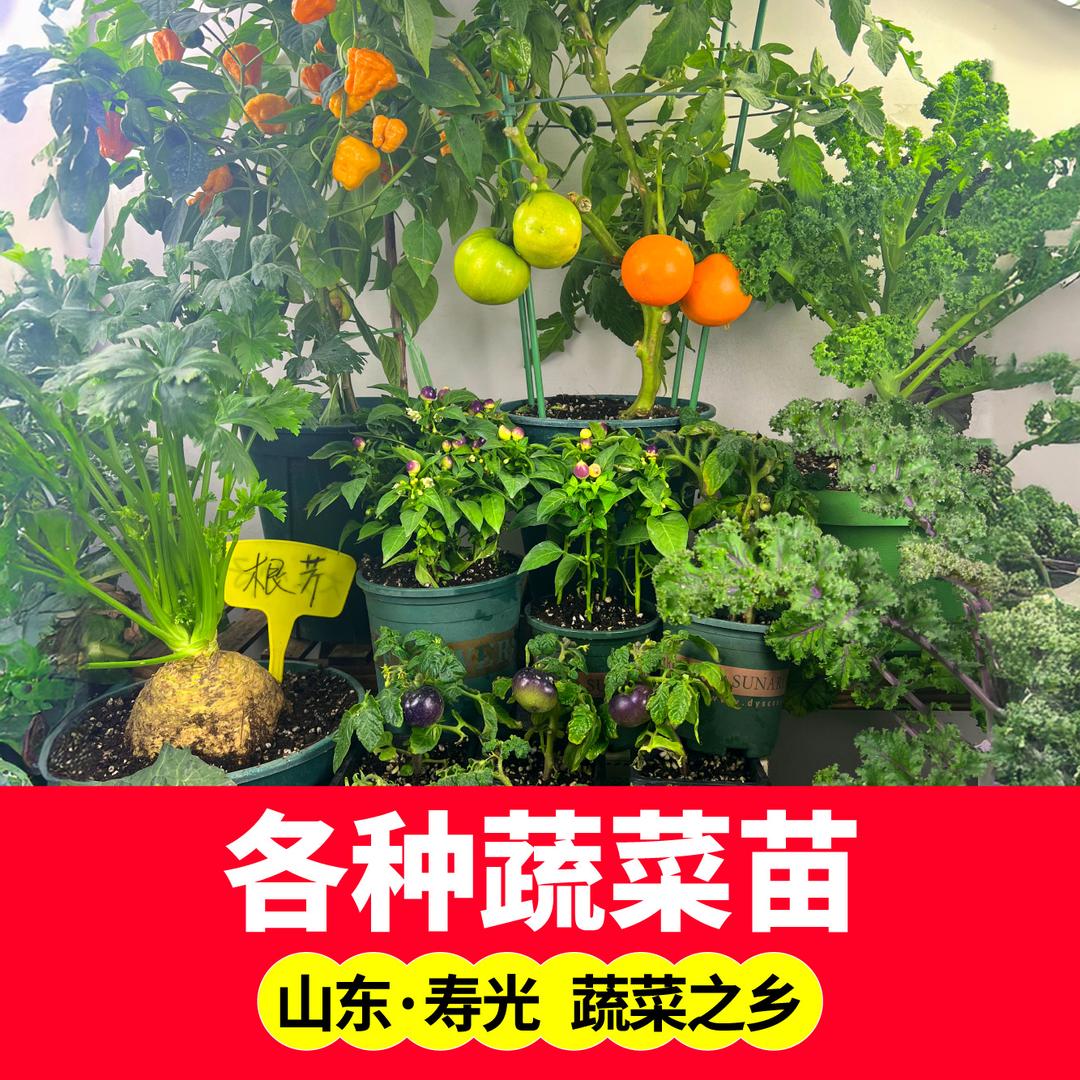 田之元