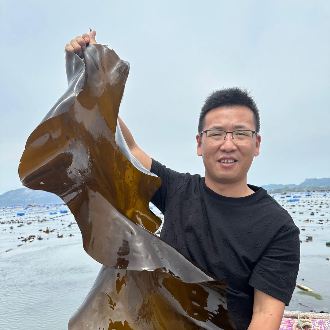 深海冷水海带