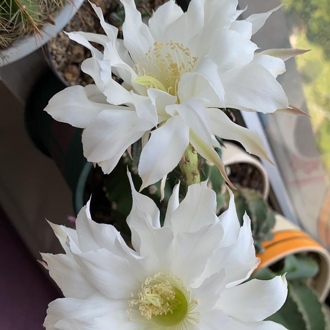 卓航家居装饰画