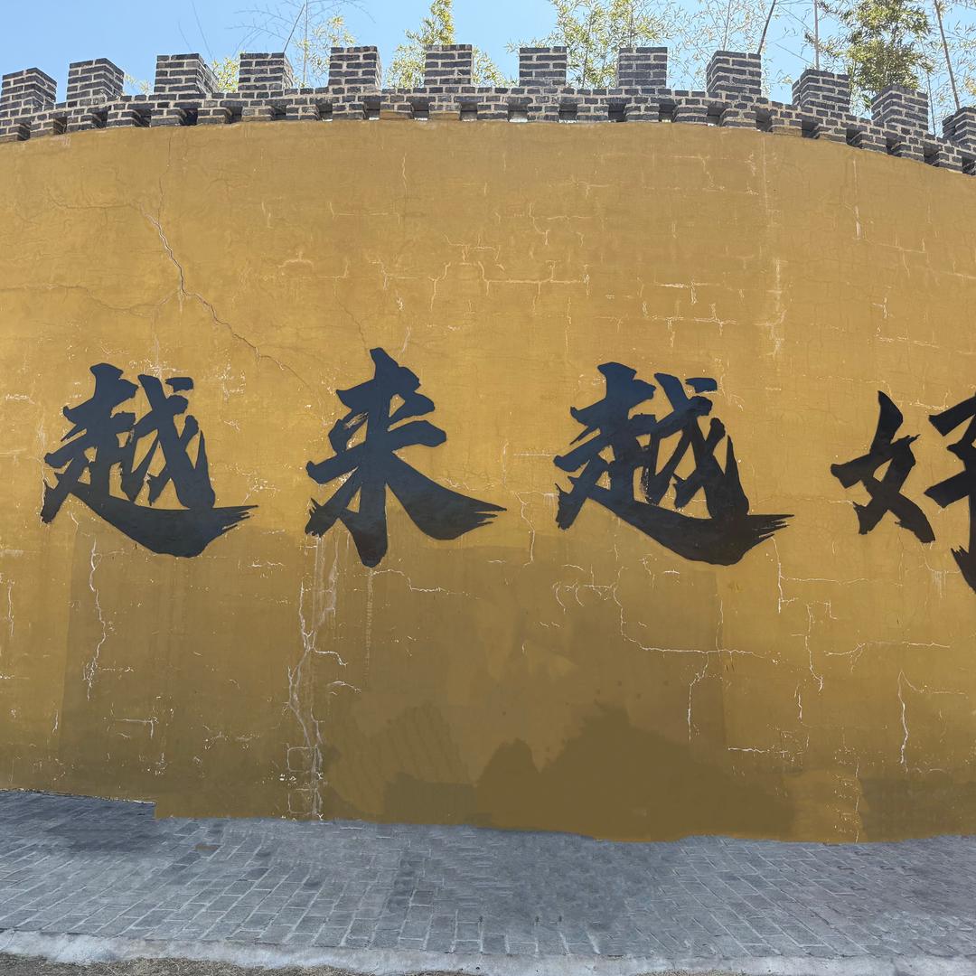 41249655277
