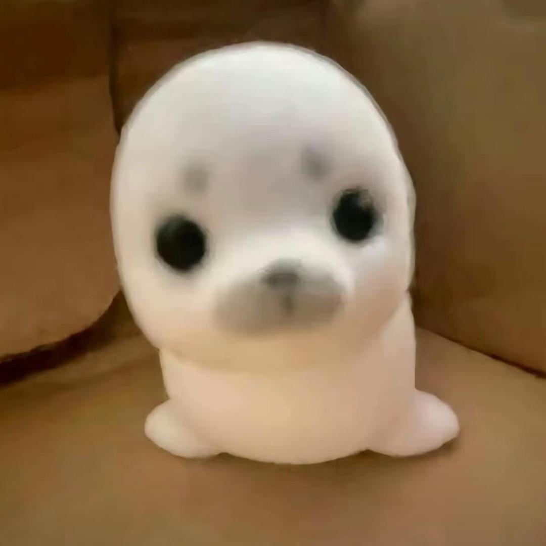 笨笨.