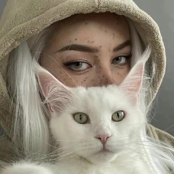 🧚🏻‍♀️莉子不温柔.