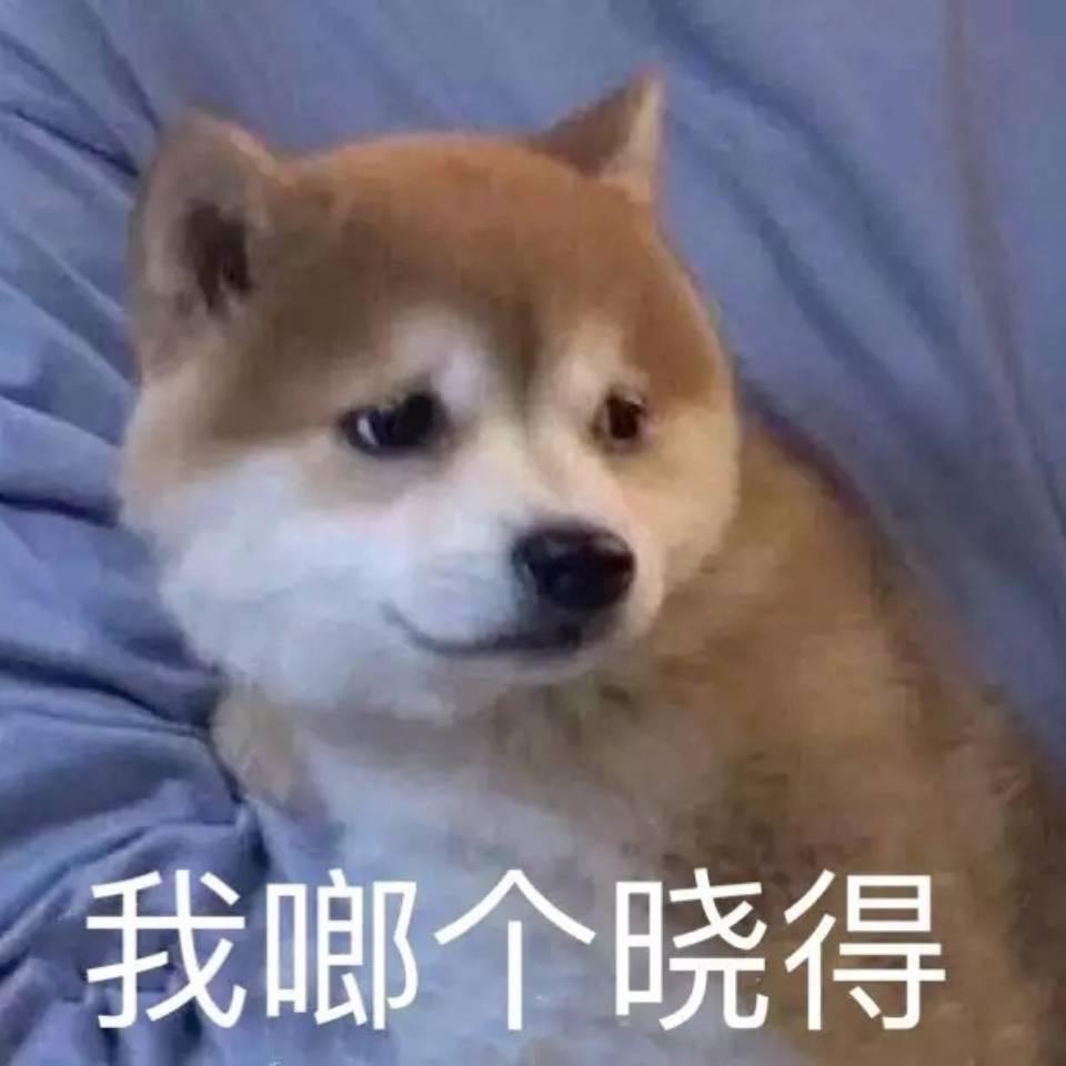 十月呀（分享版）