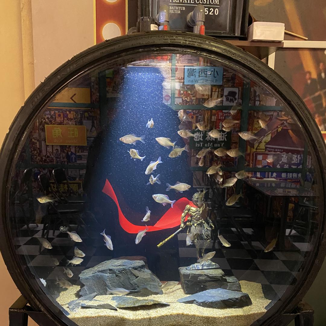 小二轮胎鱼缸