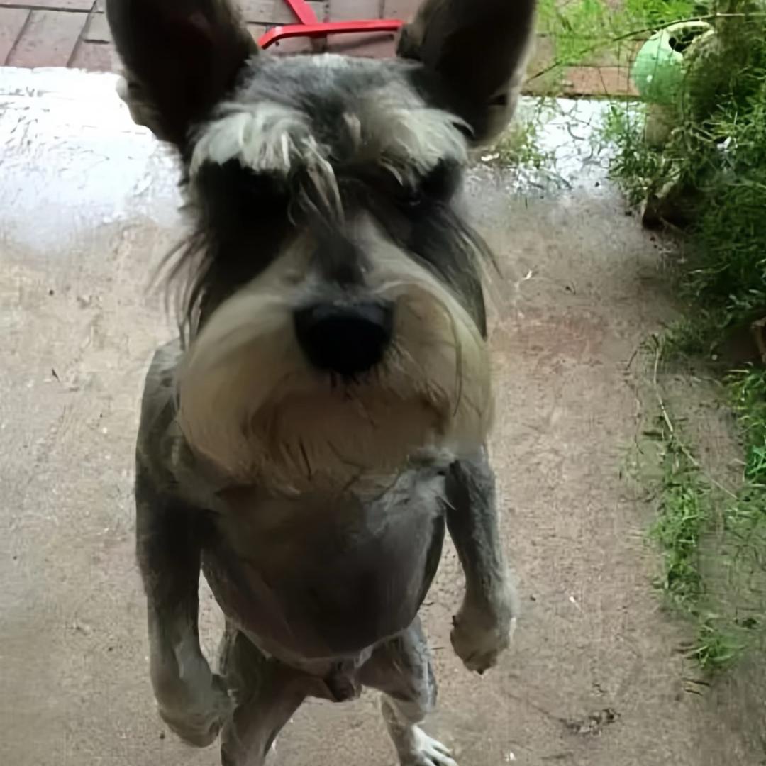 🤗