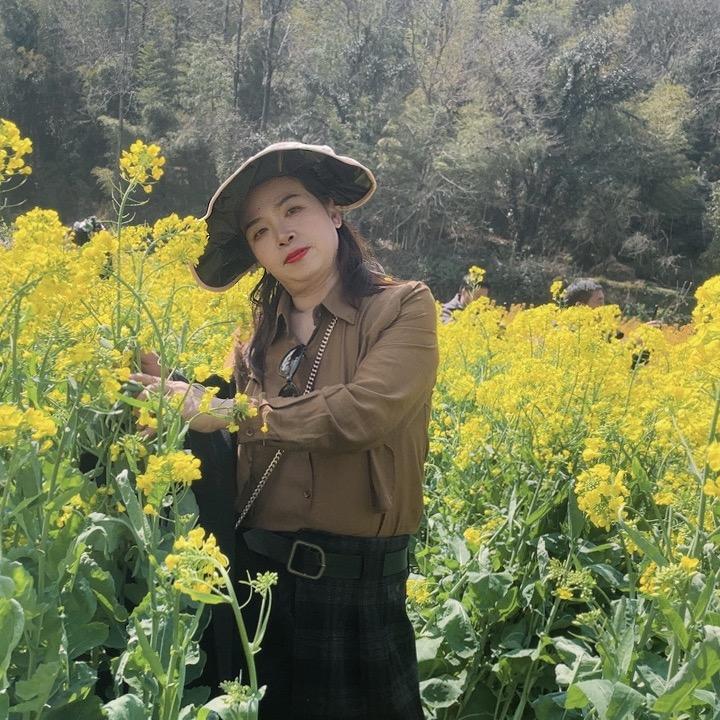 夏天的燕子