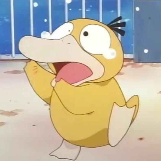 🐟小鱼🐟
