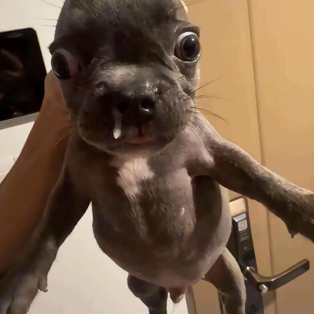 半夜醒来发现和女神在约跑