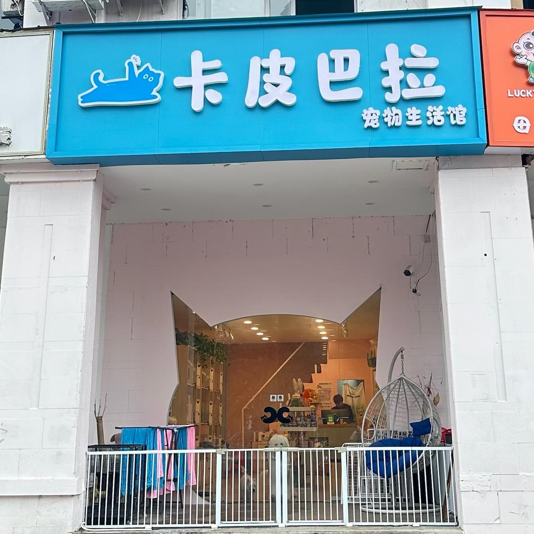 卡皮巴拉宠物生活馆