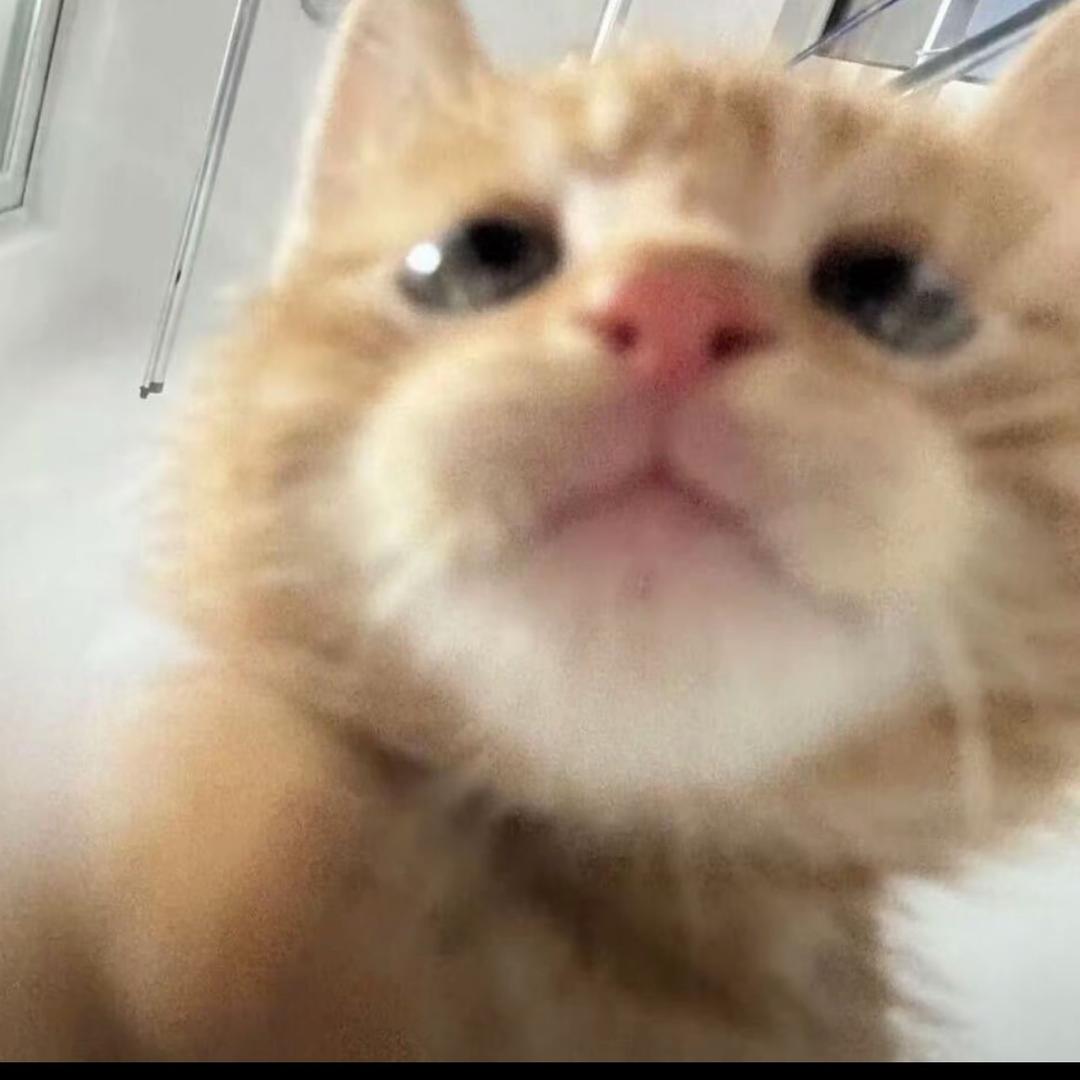 我要吃吃吃吃吃