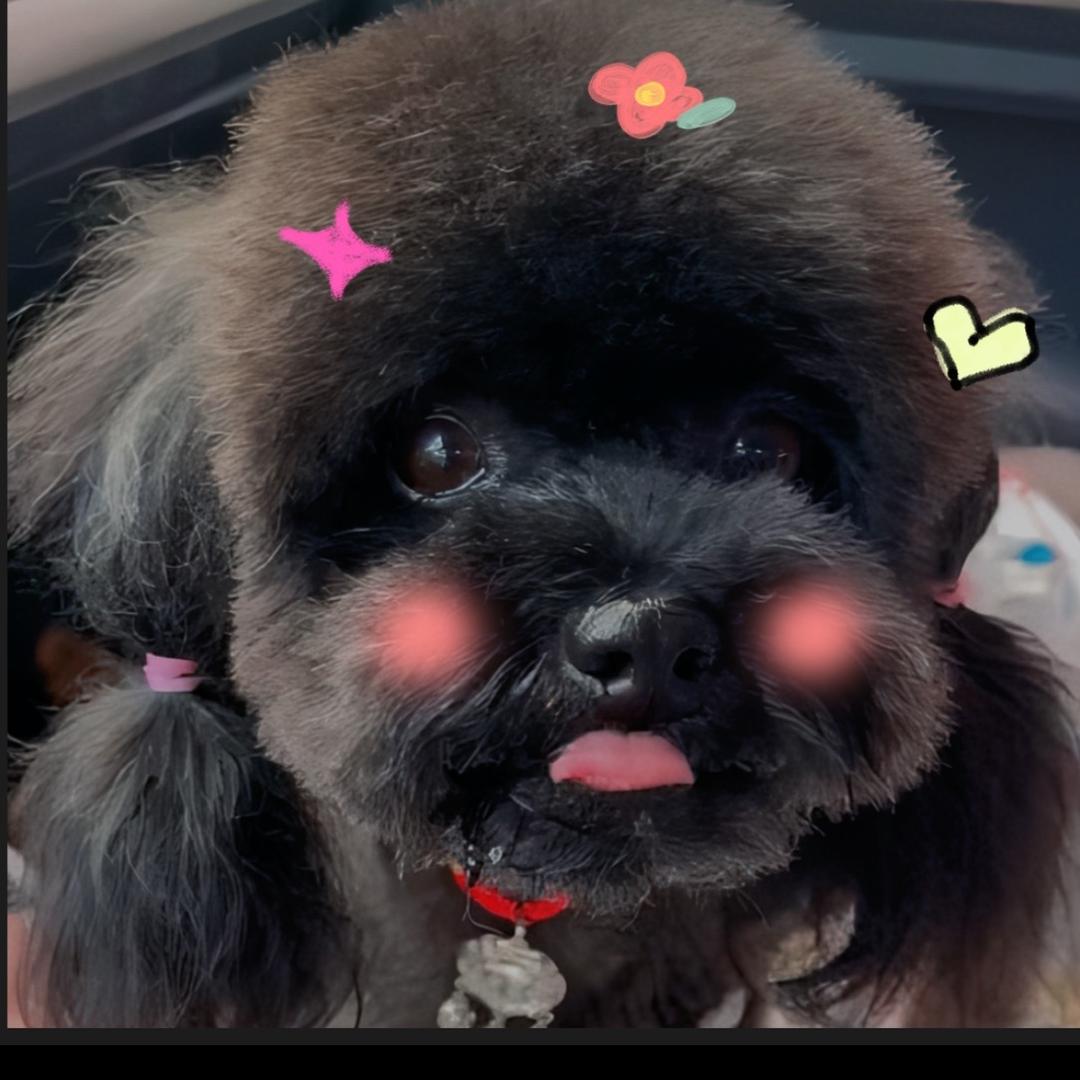 是YY吖