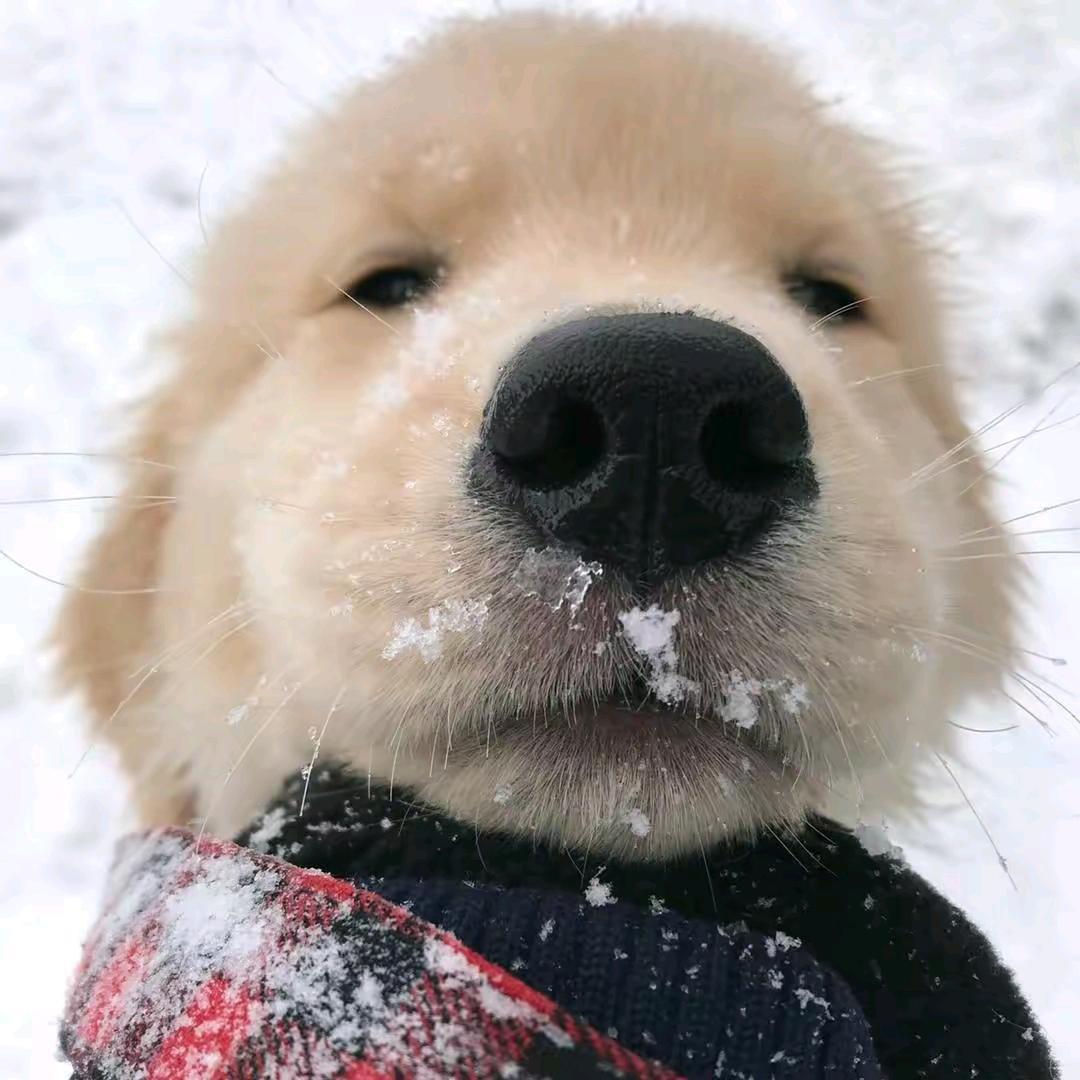 wink