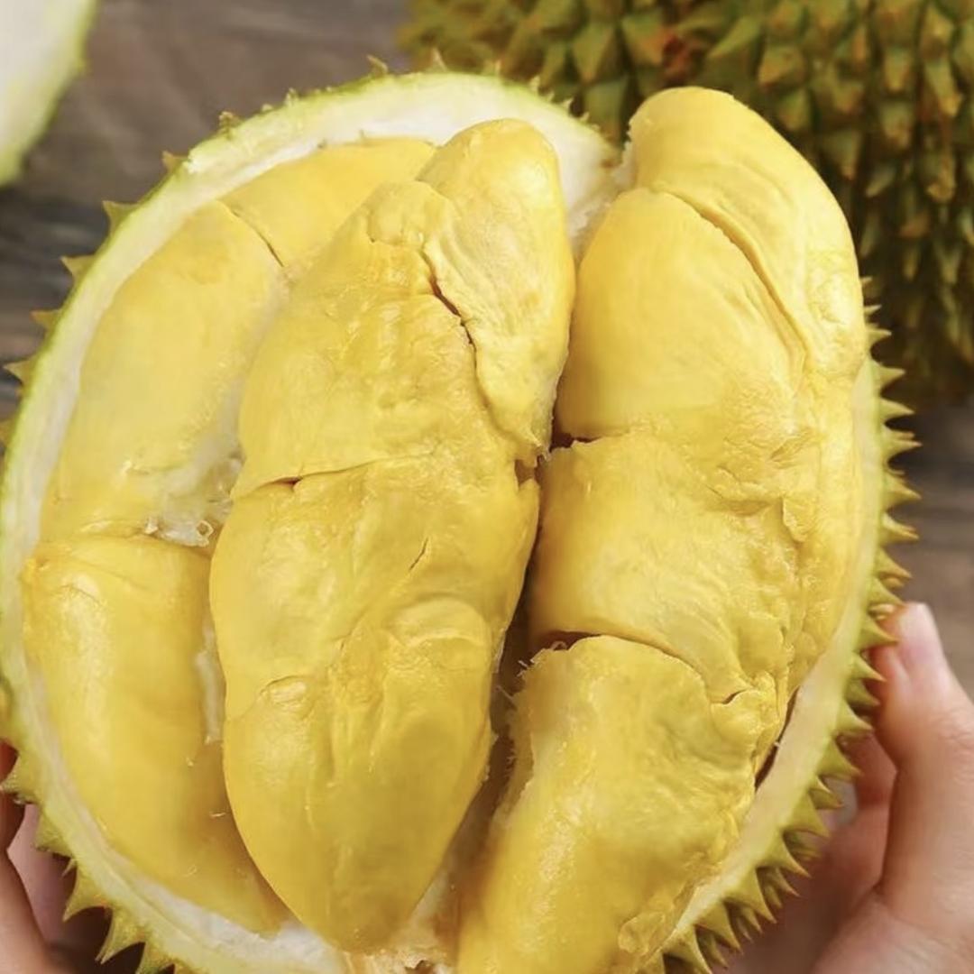 初源供应链严选