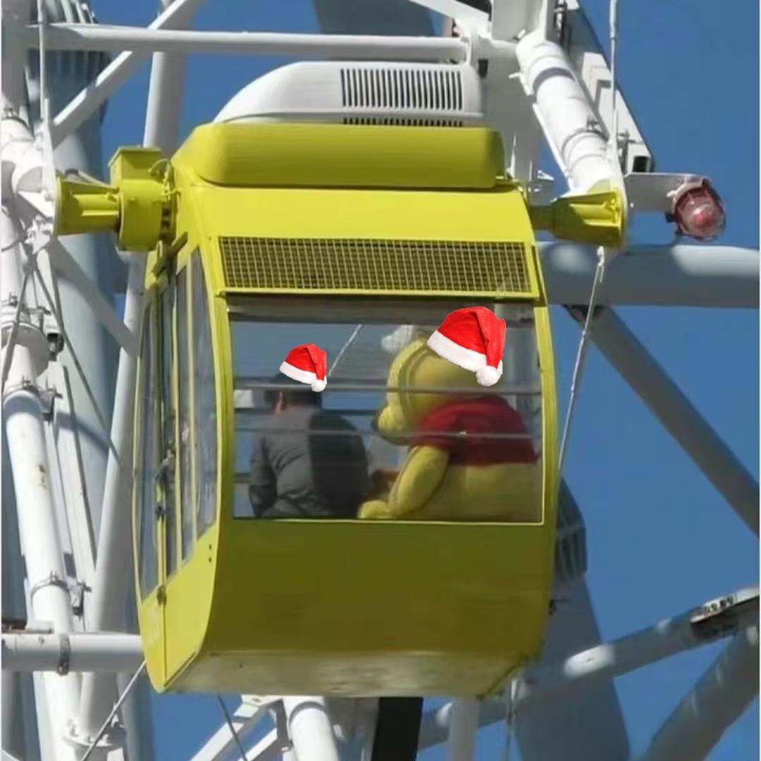 坏牙齿的丁香鱼