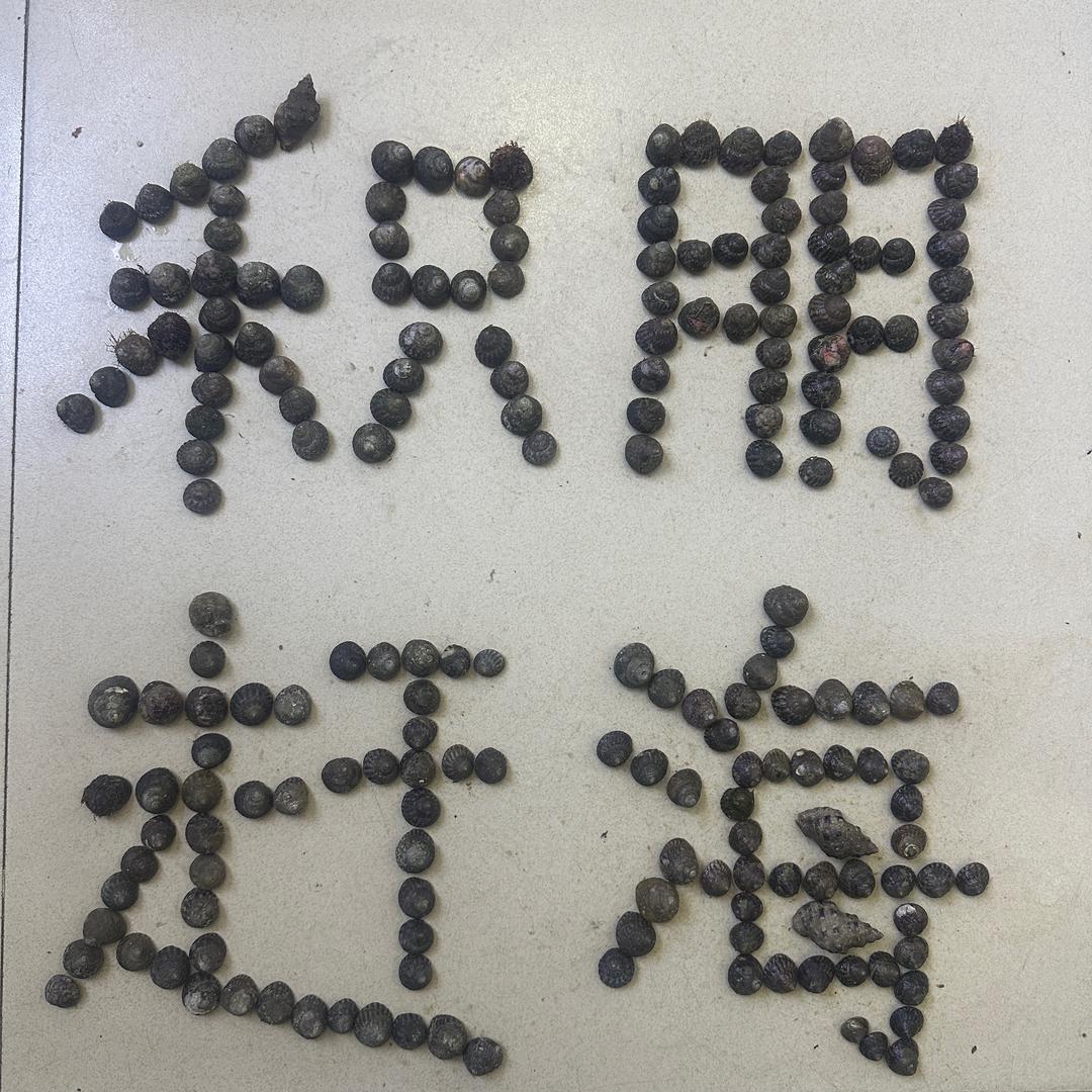 积朋赶海