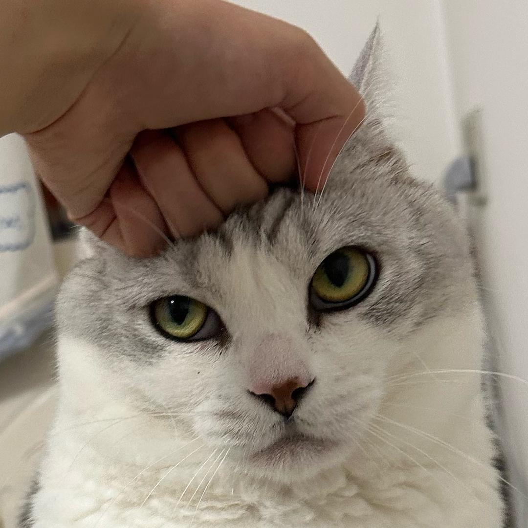 麻辣鸭腿
