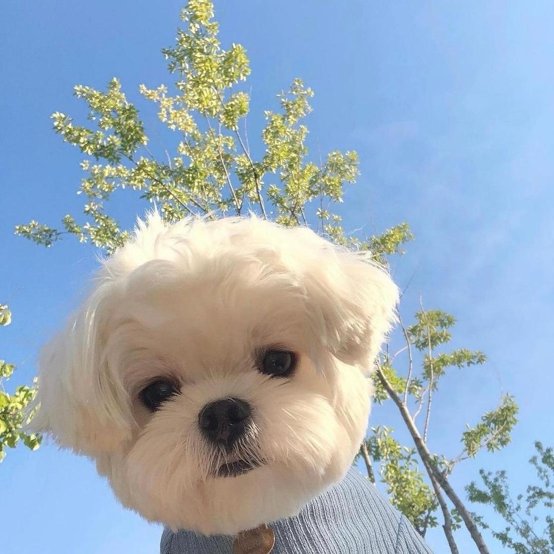 我脸¹点也不圆ཽ ঞ