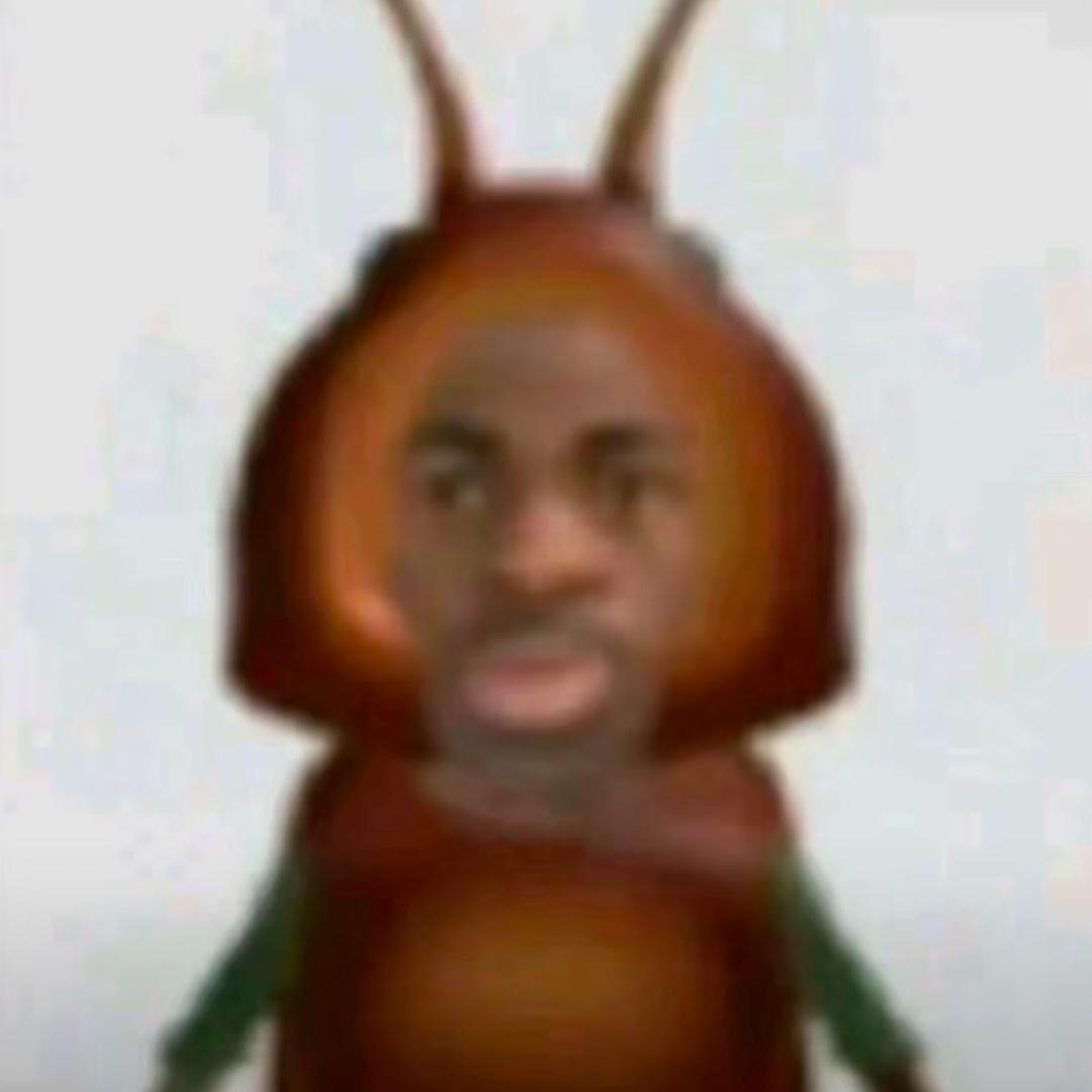 yyyyl
