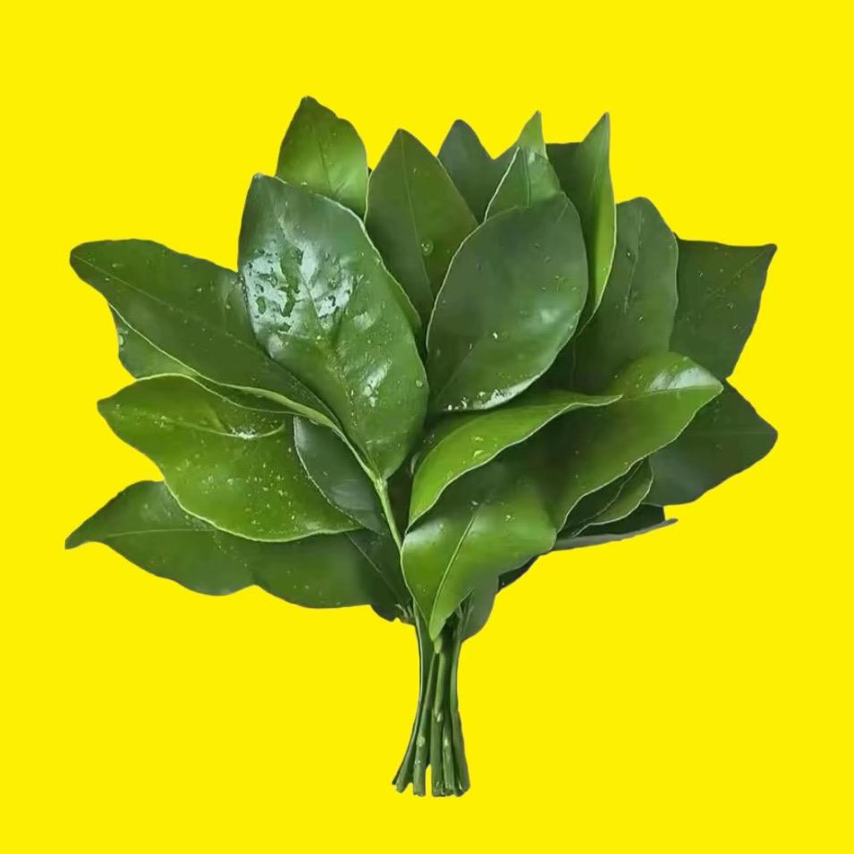 小法师