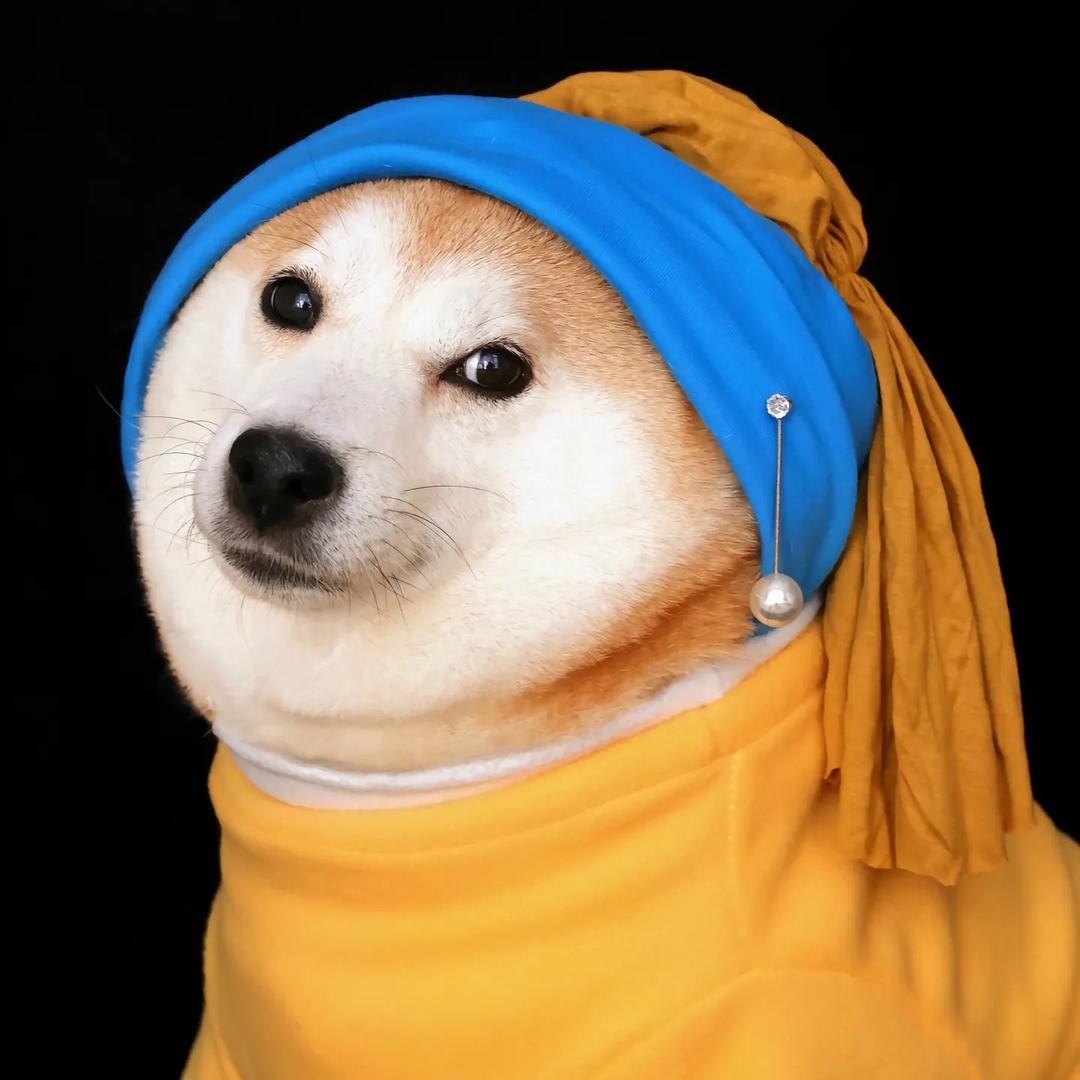 未来壹号姜上进