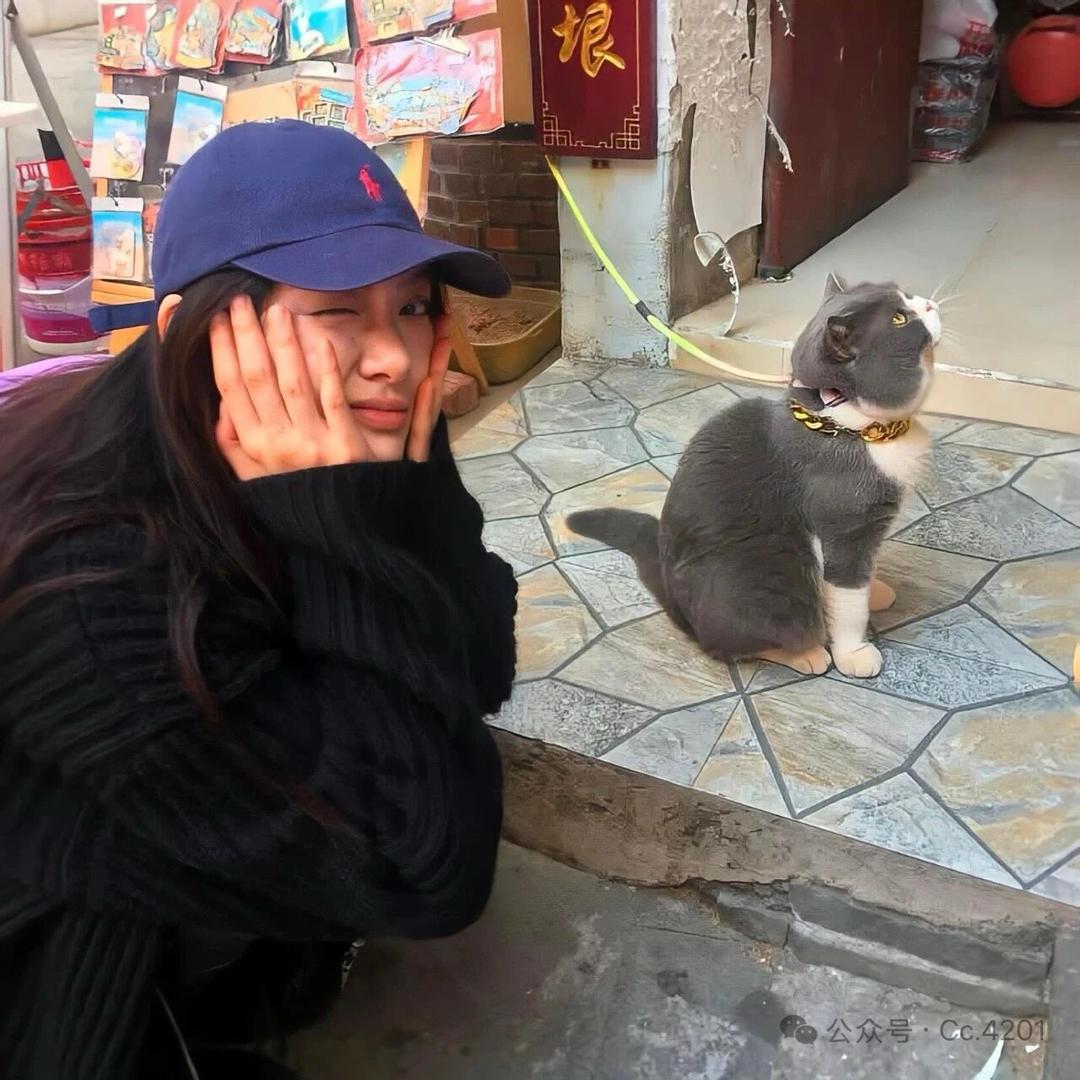 小云☁️慢吞吞