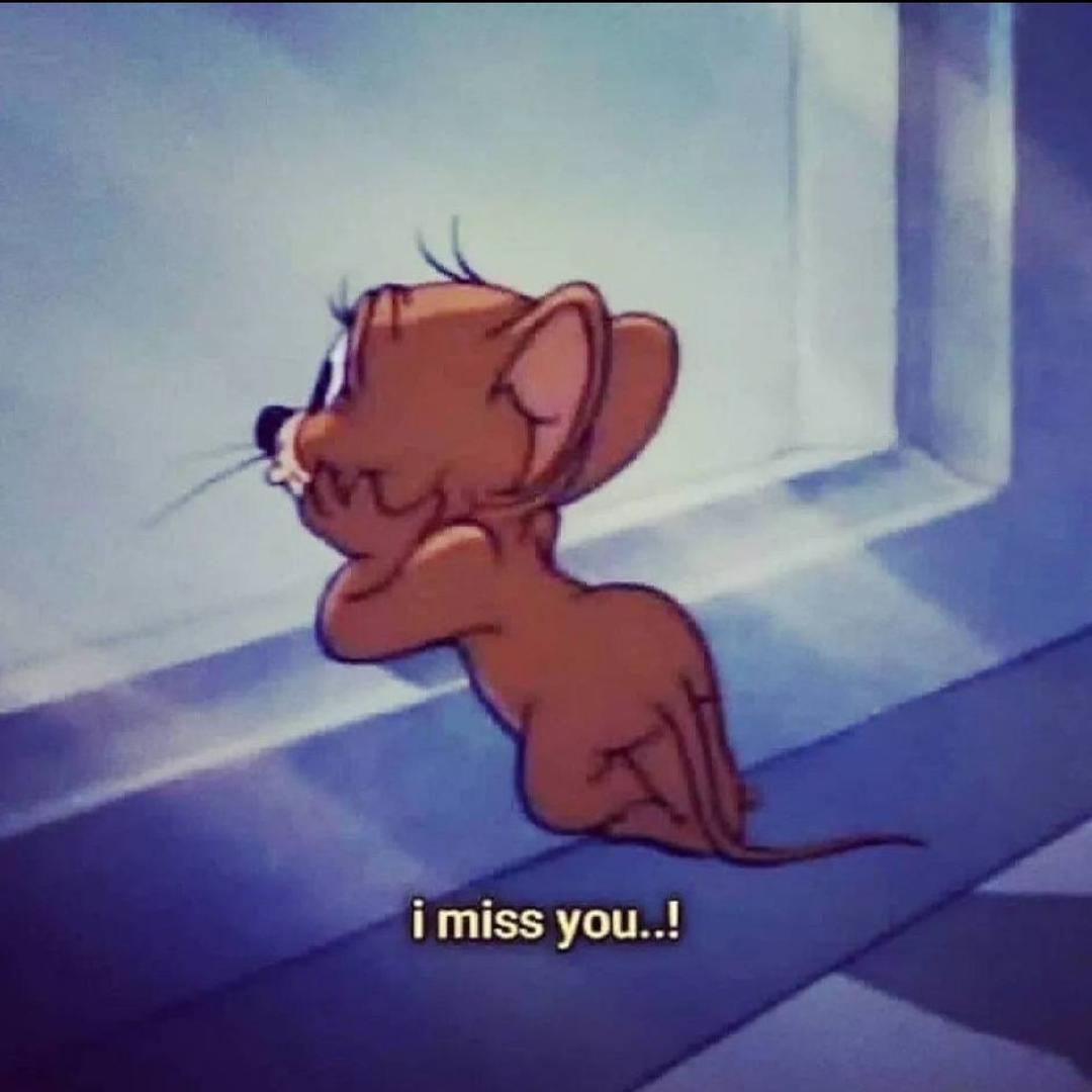 姓张名飞字彦祖