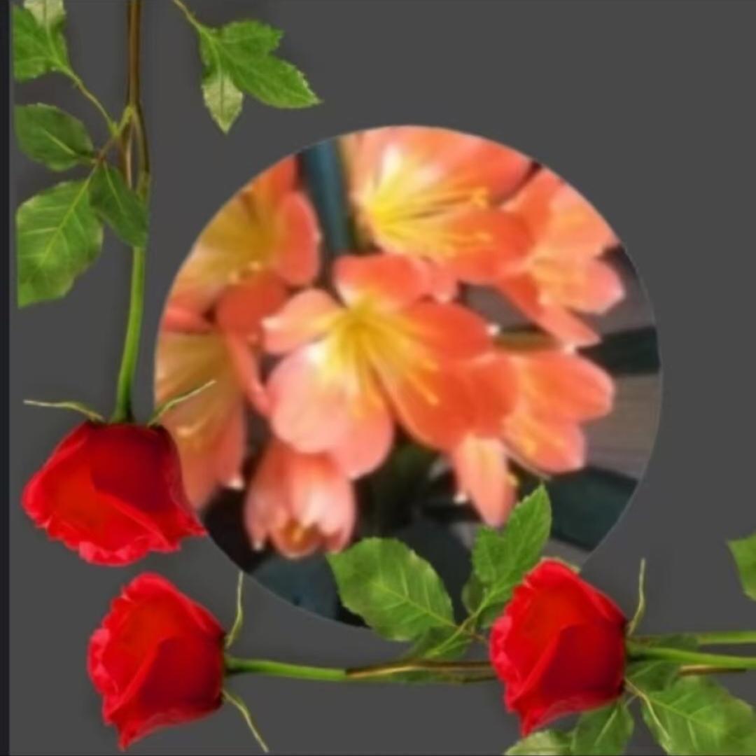 远方的小草莓🍓