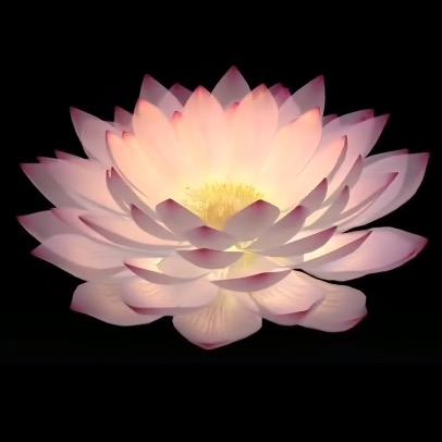 取舍之间便是人生