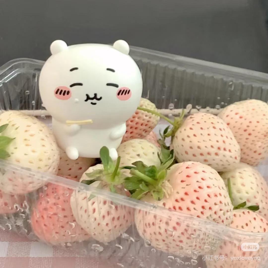 🍓小草莓🍓