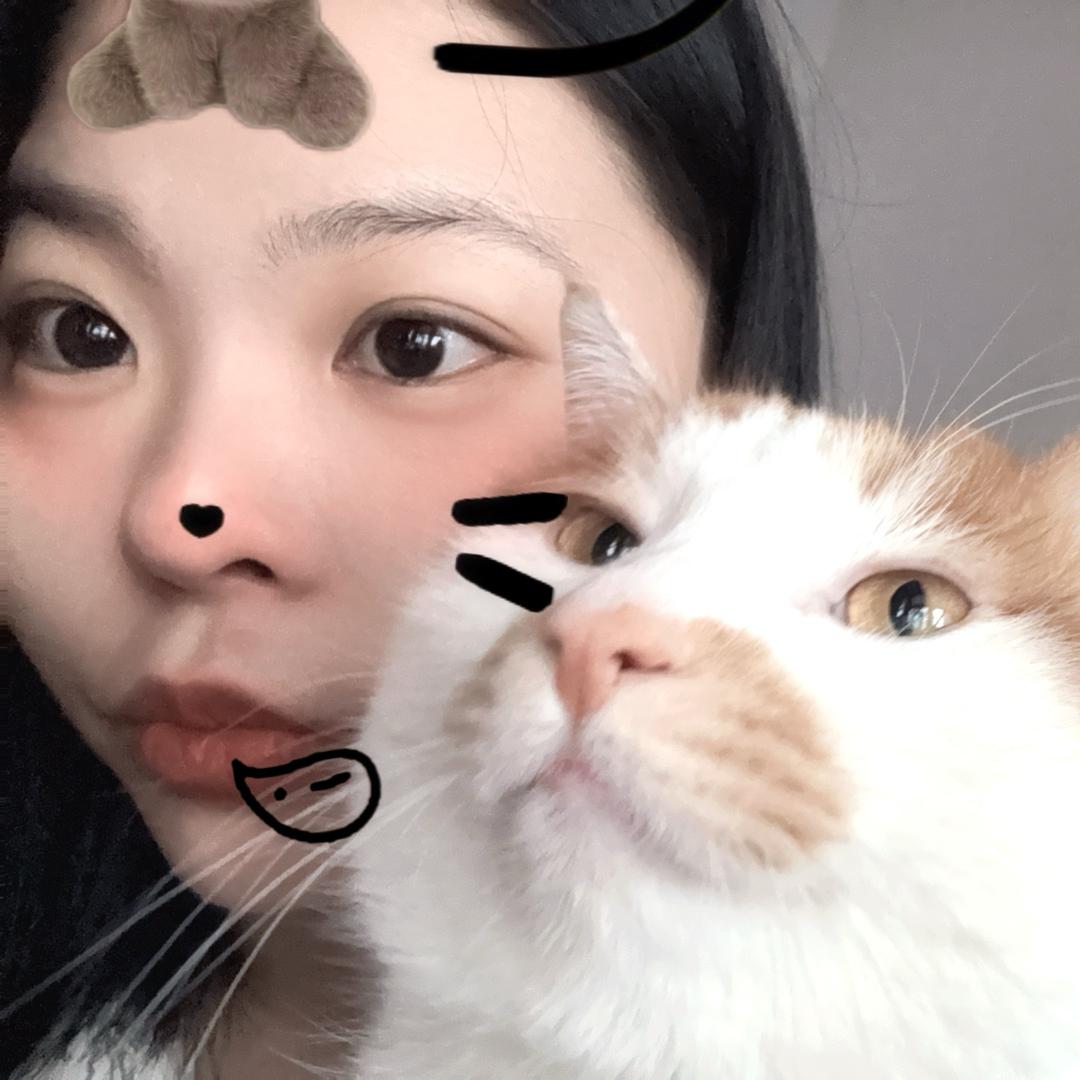 王菲💞💞