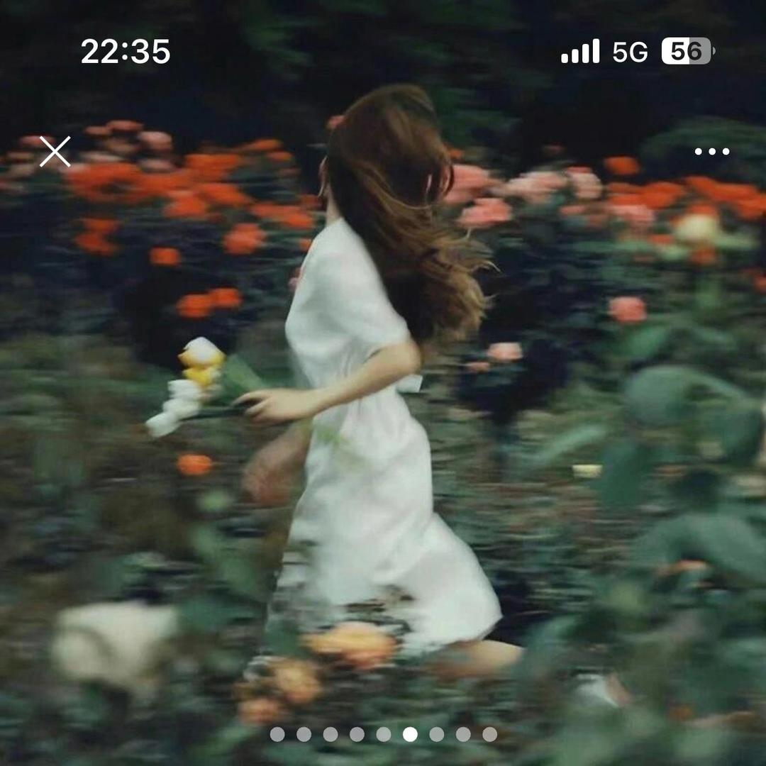 小舞 🎀