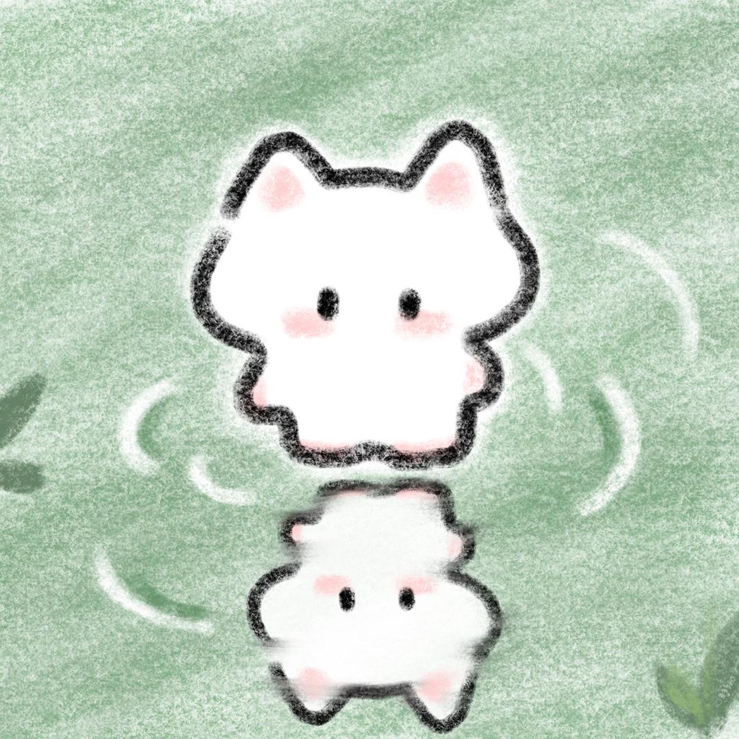 猫猫雨