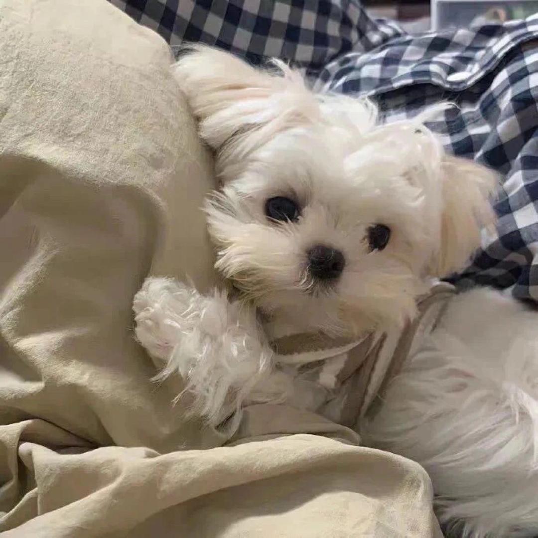 一张小纸条-🥕