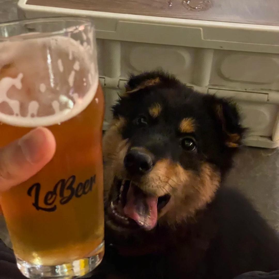 酒水批发🍺