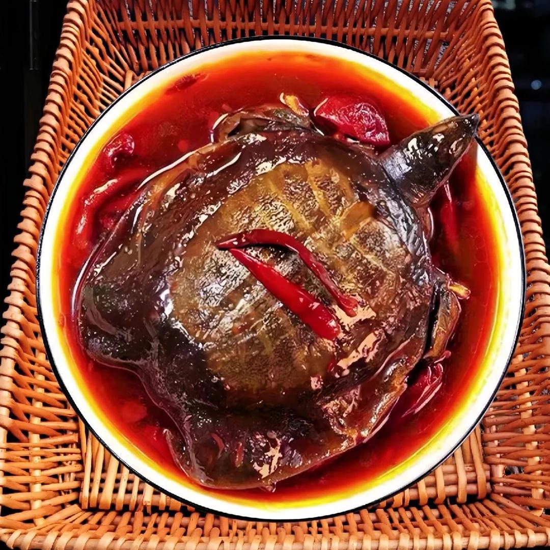 麻辣·小甲鱼