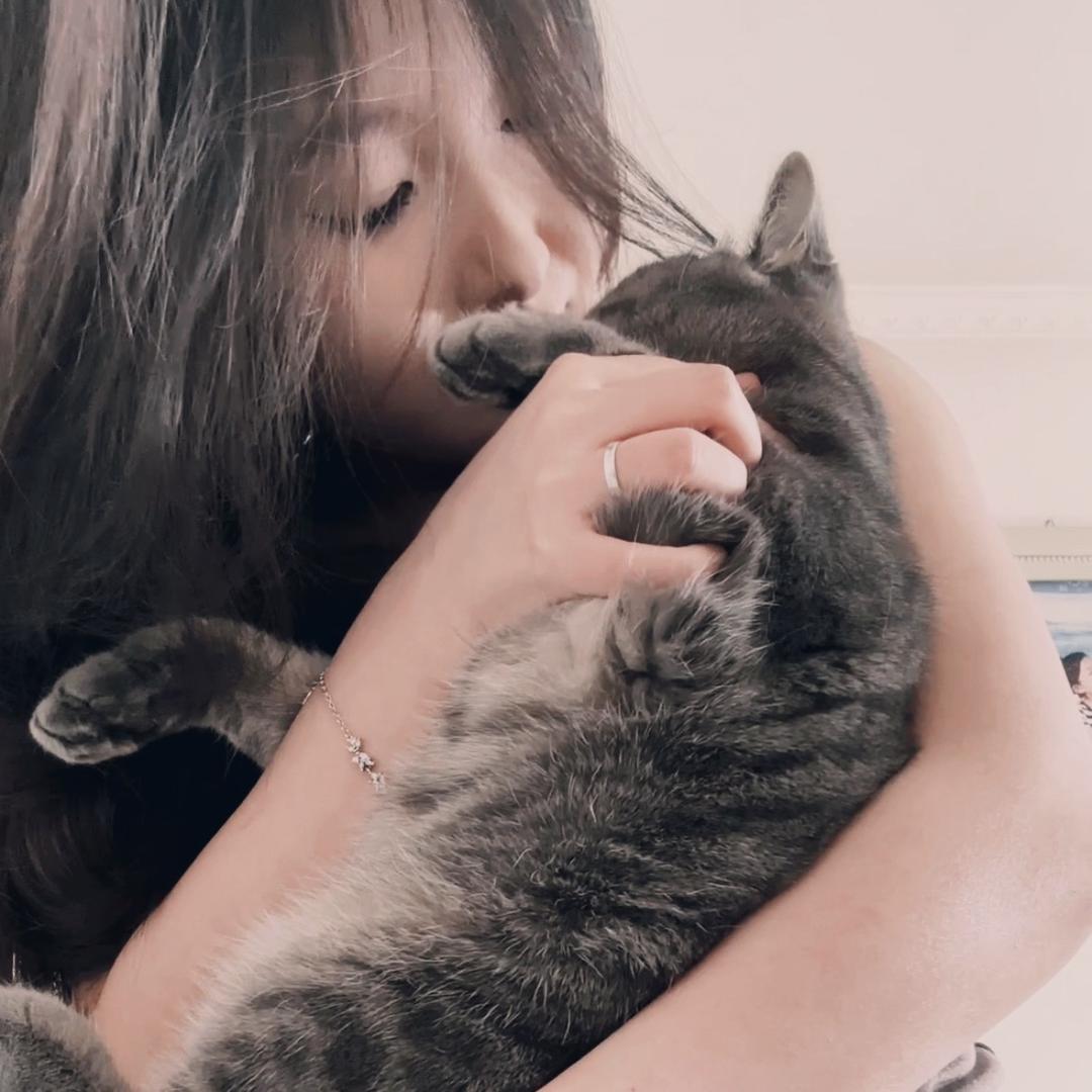 猪猪/•᷅•᷄\୭