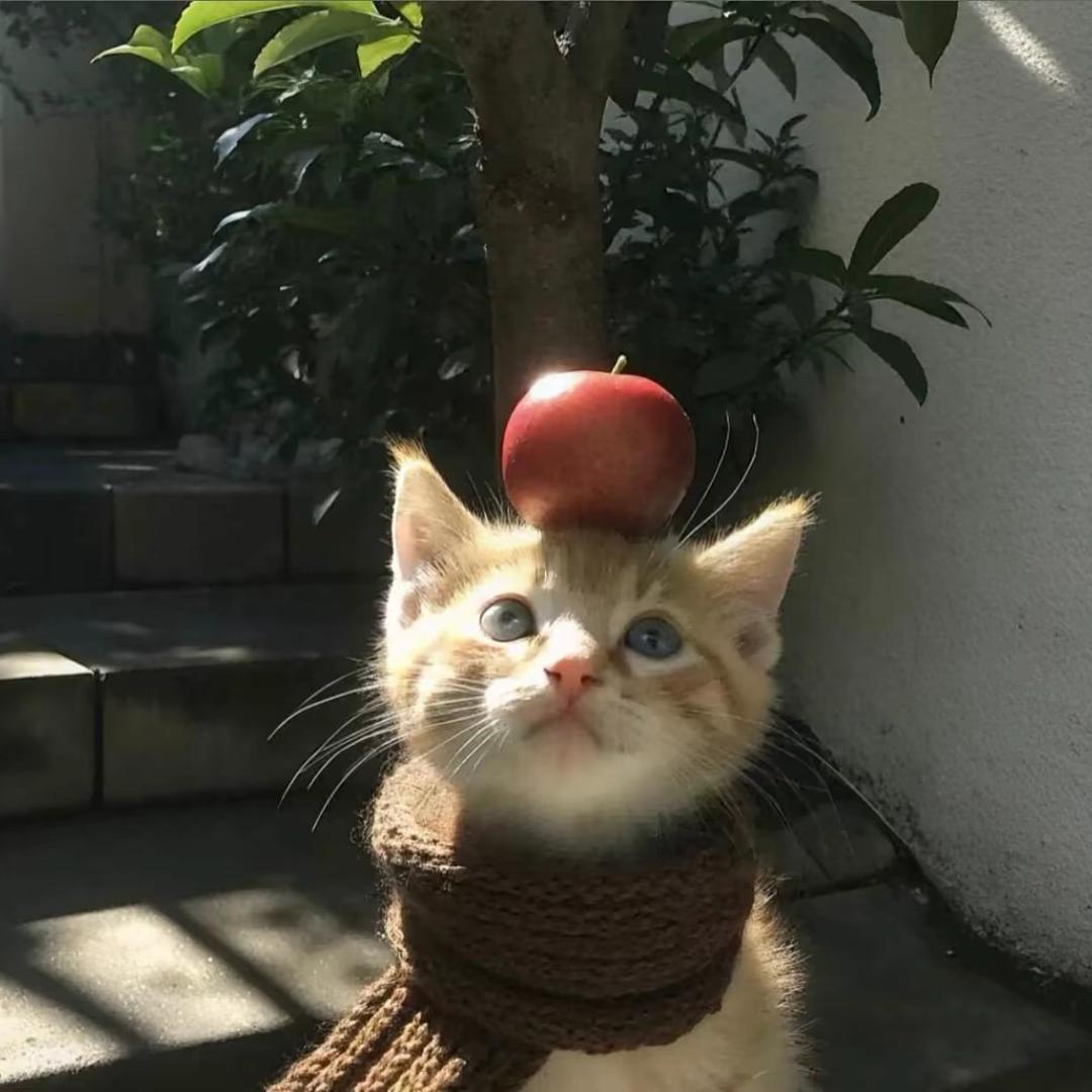 11.